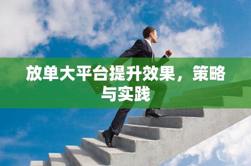 放单大平台提升效果，策略与实践