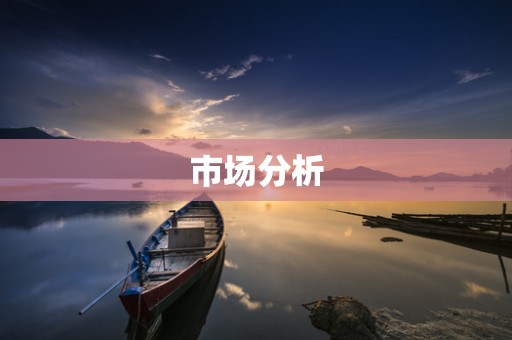 市场分析