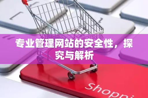 专业管理网站的安全性，探究与解析