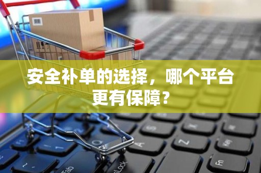 安全补单的选择，哪个平台更有保障？