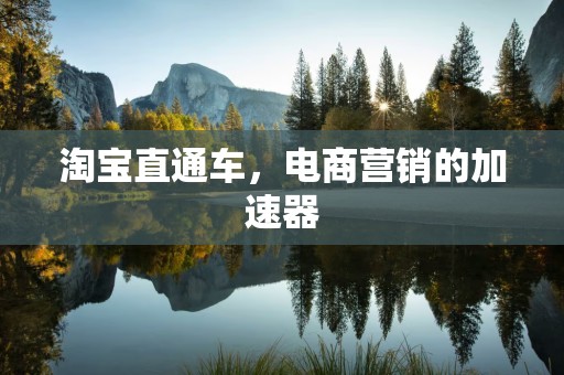 淘宝直通车，电商营销的加速器