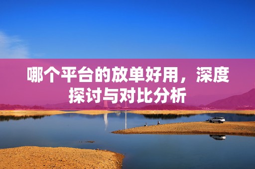 哪个平台的放单好用，深度探讨与对比分析