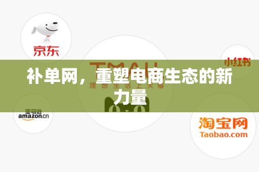 补单网，重塑电商生态的新力量