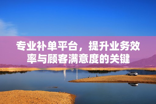专业补单平台，提升业务效率与顾客满意度的关键