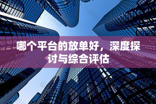 哪个平台的放单好，深度探讨与综合评估