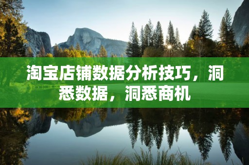 淘宝店铺数据分析技巧，洞悉数据，洞悉商机