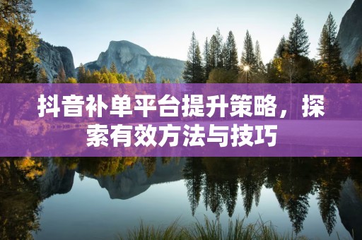 抖音补单平台提升策略，探索有效方法与技巧