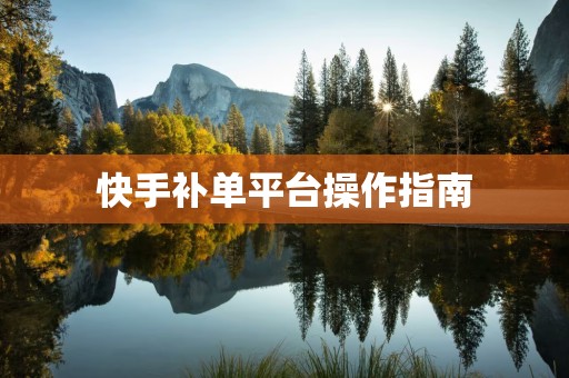 快手补单平台操作指南