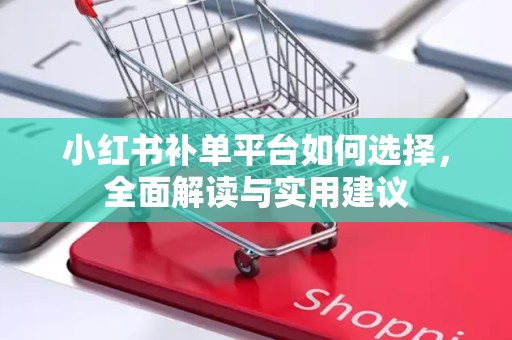 小红书补单平台如何选择，全面解读与实用建议