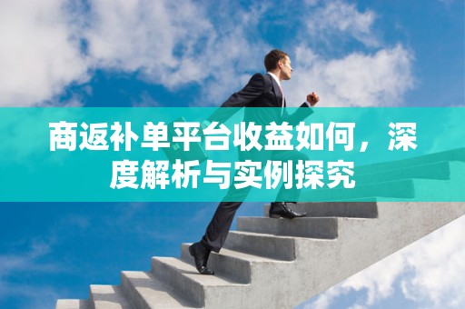 商返补单平台收益如何，深度解析与实例探究