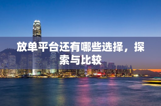 放单平台还有哪些选择，探索与比较