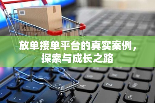 放单接单平台的真实案例，探索与成长之路
