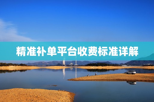 精准补单平台收费标准详解