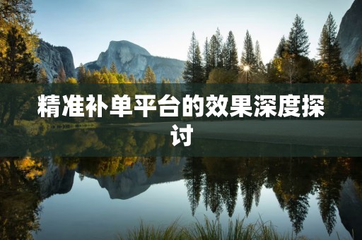 精准补单平台的效果深度探讨