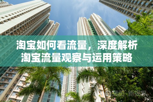 淘宝如何看流量，深度解析淘宝流量观察与运用策略