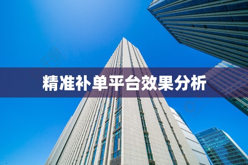 精准补单平台效果分析