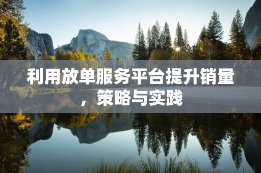 利用放单服务平台提升销量，策略与实践