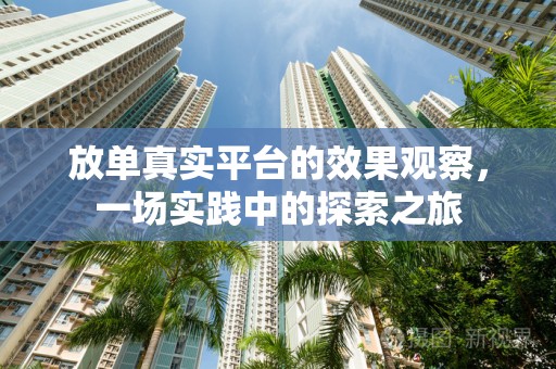 放单真实平台的效果观察，一场实践中的探索之旅
