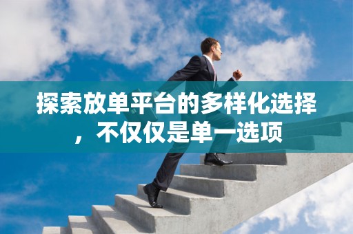 探索放单平台的多样化选择，不仅仅是单一选项