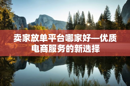 卖家放单平台哪家好—优质电商服务的新选择