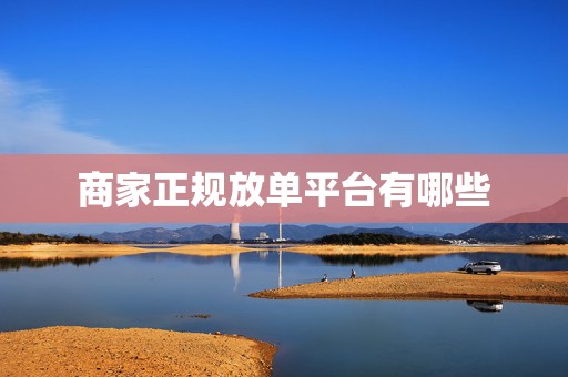 商家正规放单平台有哪些