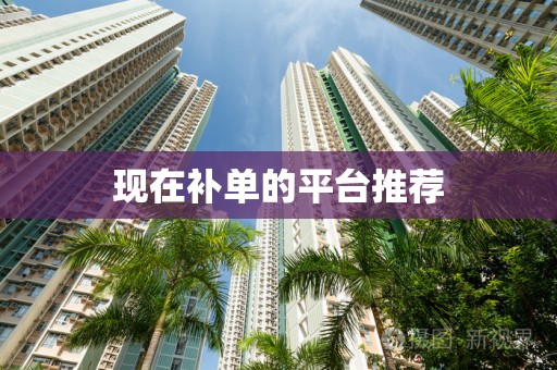 现在补单的平台推荐