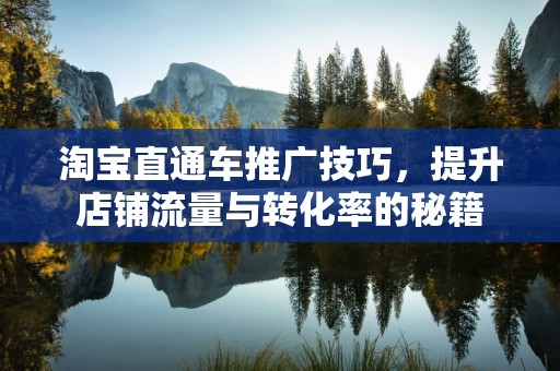 淘宝直通车推广技巧，提升店铺流量与转化率的秘籍