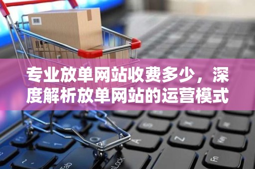 专业放单网站收费多少，深度解析放单网站的运营模式与费用结构
