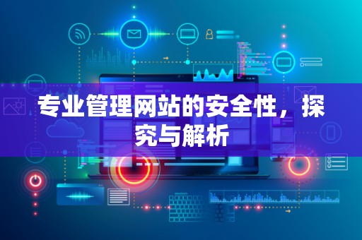 专业管理网站的安全性，探究与解析