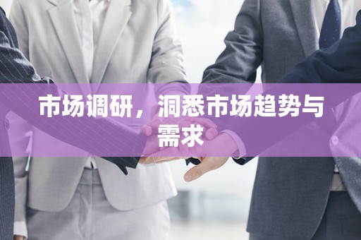 市场调研，洞悉市场趋势与需求