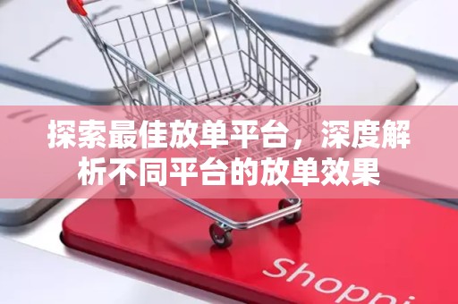 探索最佳放单平台，深度解析不同平台的放单效果