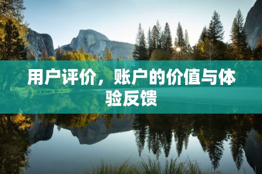 用户评价，账户的价值与体验反馈