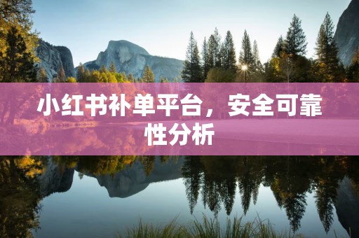 小红书补单平台，安全可靠性分析
