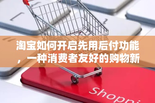 淘宝如何开启先用后付功能，一种消费者友好的购物新体验