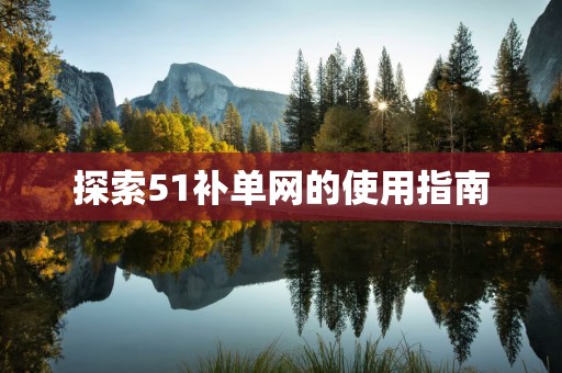 探索51补单网的使用指南
