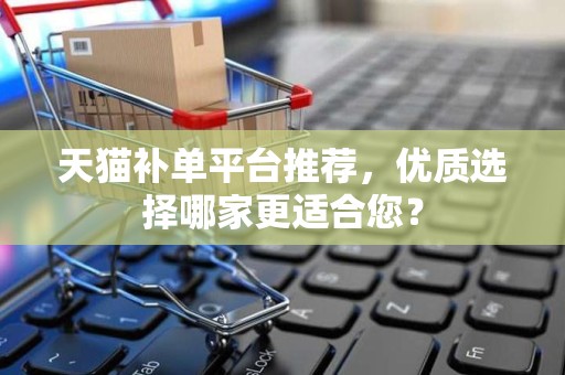天猫补单平台推荐，优质选择哪家更适合您？