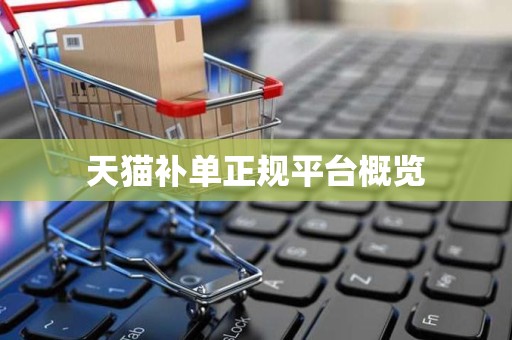 天猫补单正规平台概览