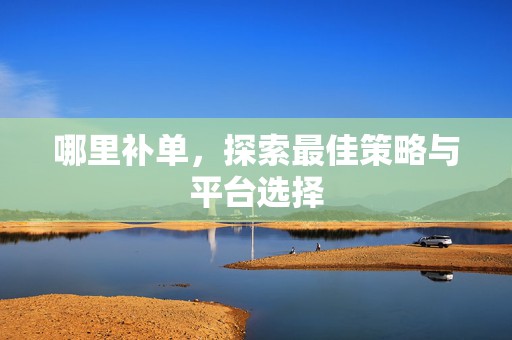哪里补单，探索最佳策略与平台选择