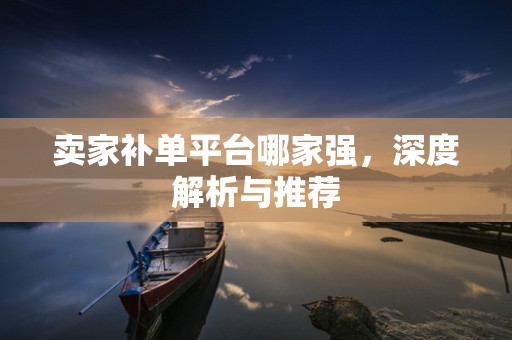 卖家补单平台哪家强，深度解析与推荐