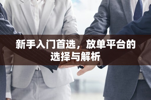 新手入门首选，放单平台的选择与解析