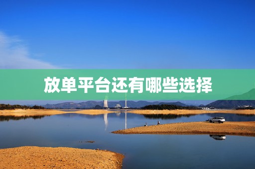 放单平台还有哪些选择