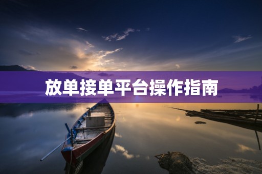 放单接单平台操作指南
