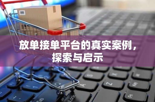 放单接单平台的真实案例，探索与启示