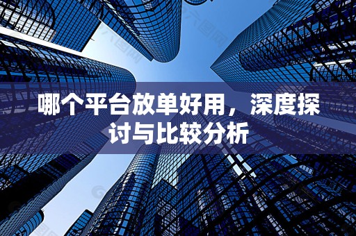 哪个平台放单好用，深度探讨与比较分析