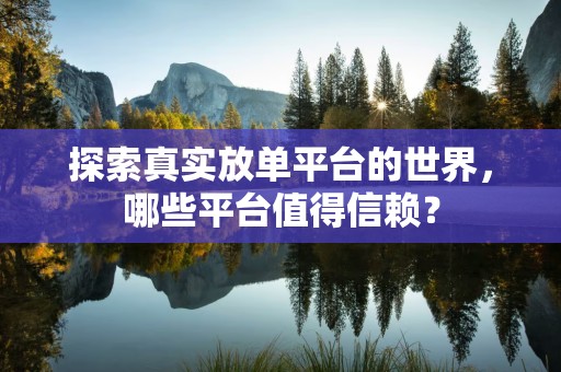 探索真实放单平台的世界，哪些平台值得信赖？