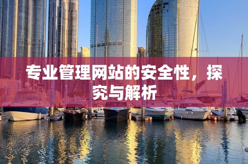 专业管理网站的安全性，探究与解析