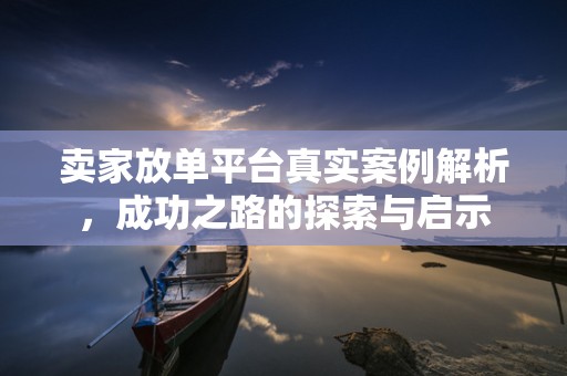 卖家放单平台真实案例解析，成功之路的探索与启示