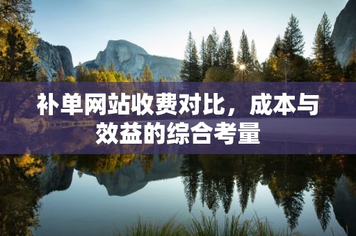补单网站收费对比，成本与效益的综合考量