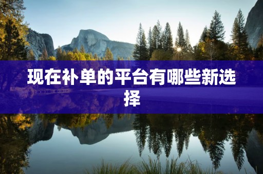 现在补单的平台有哪些新选择