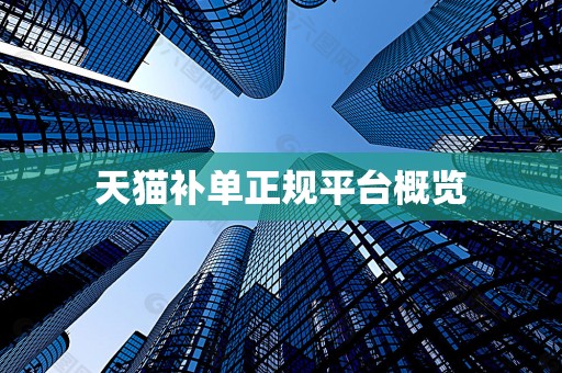 天猫补单正规平台概览